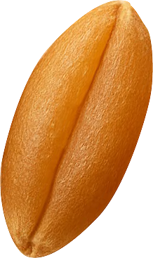 Grain 2